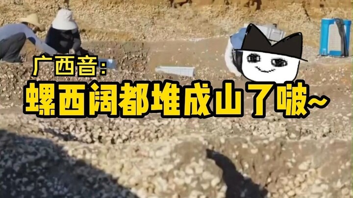 แมวโบราณ丨แหล่งขยะประจำวันของคนโบราณ: แหล่งโบราณคดีเบ๋อชิว
