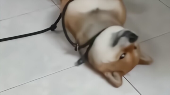 Jagoan Kecil Penyembuh Perasaan Buruk