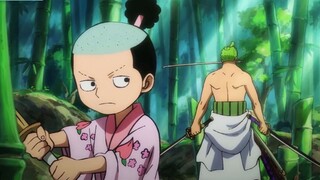 One Piece 1015 Momonosuke có Haki Bá Vương Zoro sẽ nhận đệ tử p8