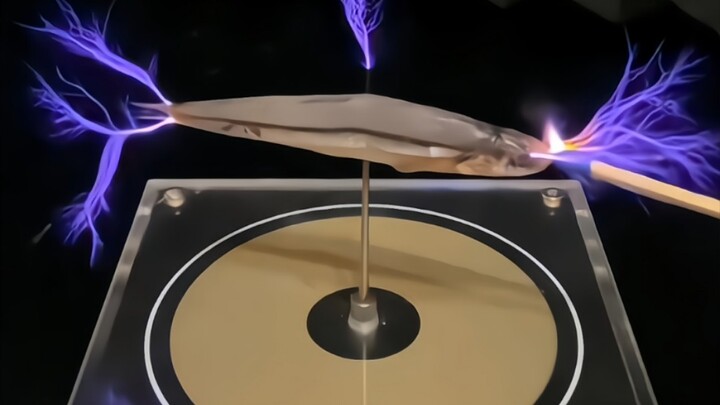 "Tesla Coil Electro-Barbecue"