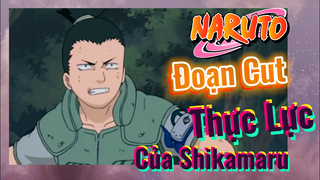 [Naruto] Đoạn Cut | Thực Lực Của Shikamaru