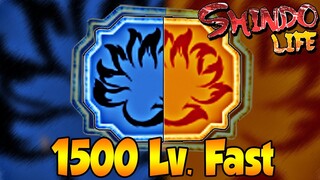 *GET MAX LEVEL JINS/SPIRIT GLITCH!* Do This Before Its Too Late!  In Shindo Life