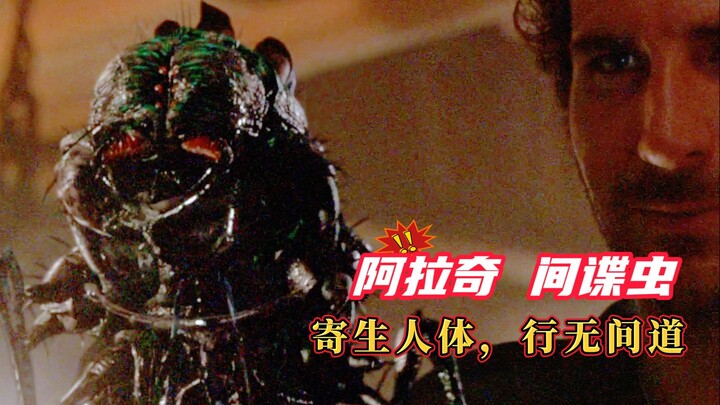 【Arsip Monster】Pelaku Aksi Bawah Tanah – Serangga Mata-Mata Arach, Pasukan Strategis yang Parasit di