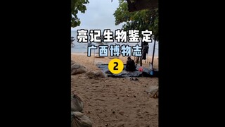 【亮记生物鉴定】广西博物志 第二集