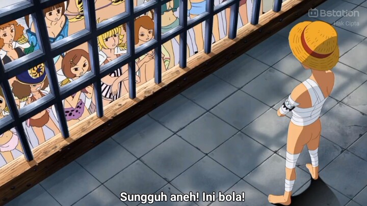 perhiasan keluarga Luffy🗿