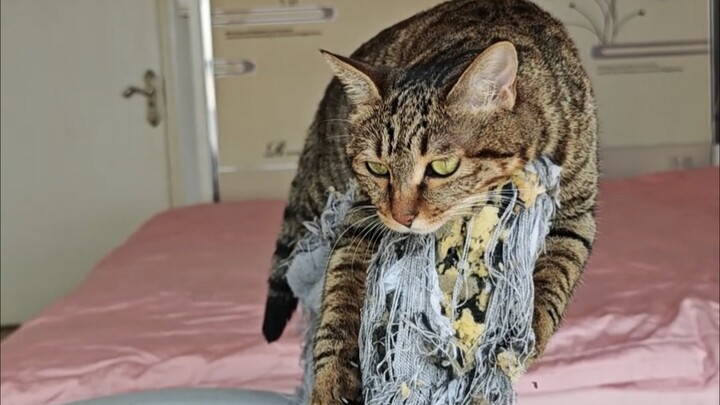 The follow-up to the chair that's been viewed by 1 million people across the entire internet.