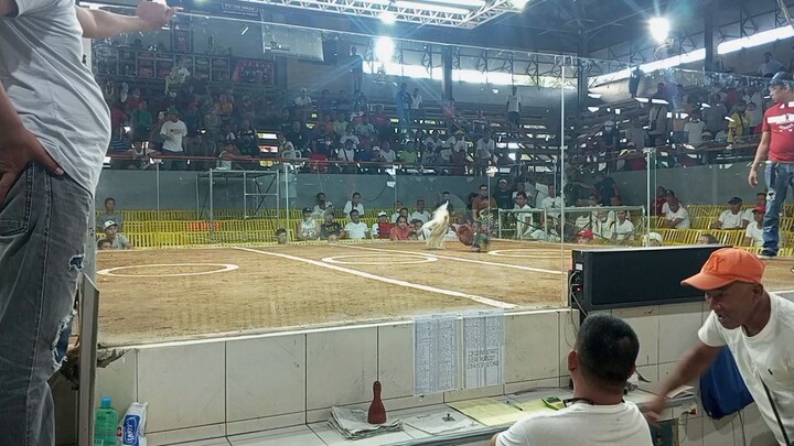 Pampanga Coliseum Sarasa Win