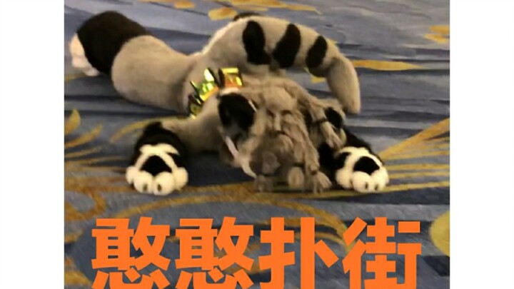 【Ikemoto’s silly daily life】Cool and silly on the street