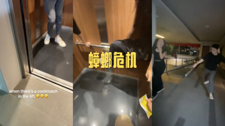 วิกฤติแมลงสาบในลิฟต์