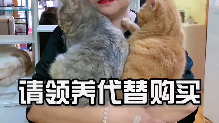 选择买不到的爱！