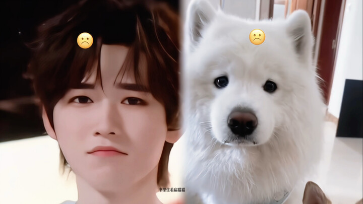 سفير سلالة الساموييد في عالم الفول (4)