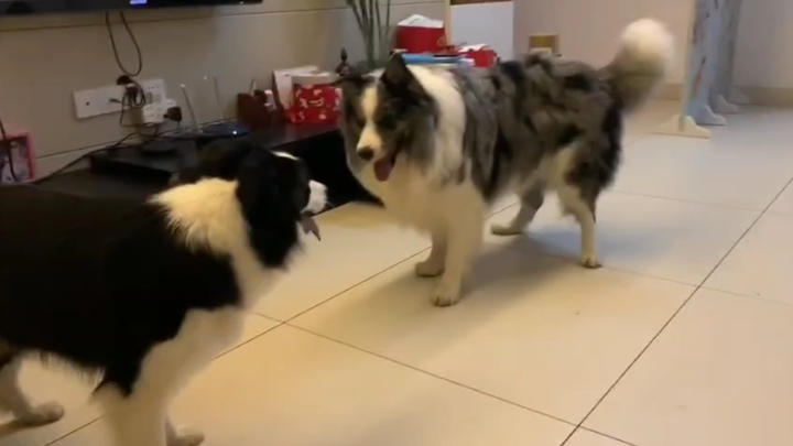 ฉันอยากมีลูกกับเธอ แต่เธอกลับมองฉันเป็นแค่พี่น้อง