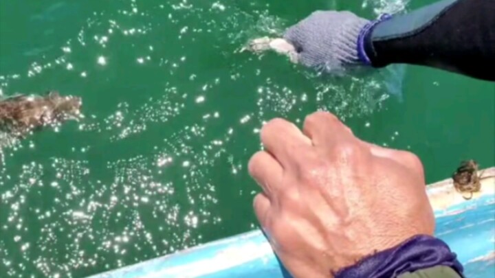 นักตกปลาทำทุกวิถีทางเพื่อตามล่าปลา 😂