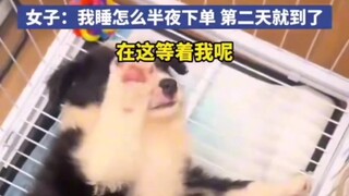 原来商家搁着等着呢！！