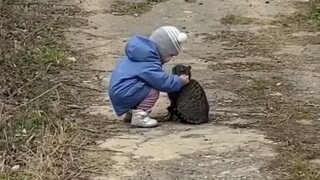 المشهد الشهير لحب وصراع صغار البشر والقطط 🐈