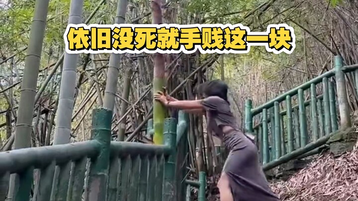 “Zhi Ren TV” masih belum mati, jadi terus saja melakukan hal-hal ceroboh ini.