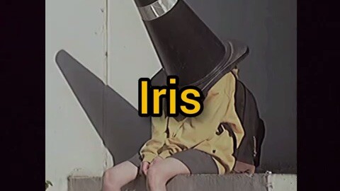 Iris