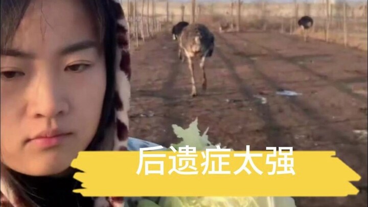 Chỉ sờ một cái thôi mà, phản ứng này có quá đà không vậy??