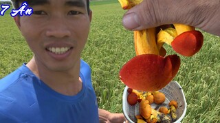 Lần đầu tiên thấy LOẠI NẤM LẠ này không dám ăn - 7 Ân