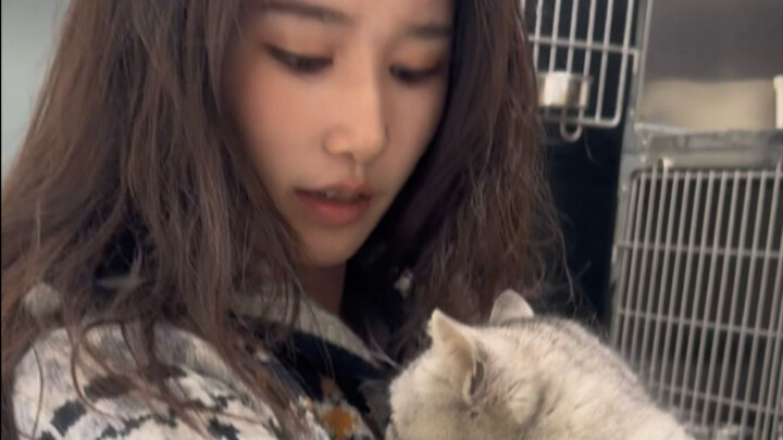 Grandpa's Silver Gradient