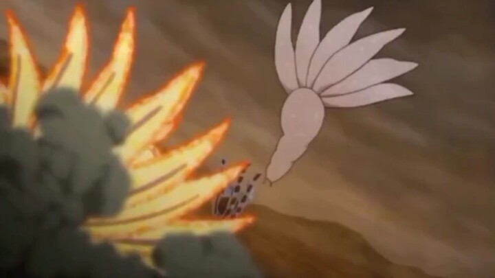 Kyuubi