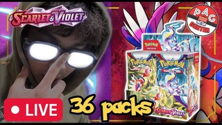 Tìm kiếm sự "Đỏ" trong Booster Box Scarlet & Violet mới nhất..!!!!! | Pokemon TCG | PAG Center