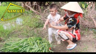 Rau muốn làm chua cùng chị Nương và Dì Út - Nam Việt