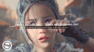 Salt - Ava Max | Syn Cole Remix (Lyrics + Vietsub) ♫