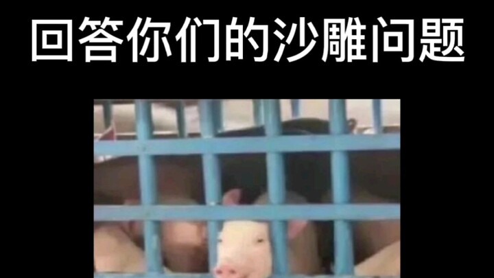 Vấn đề về bệnh tật