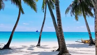 眼睛是美的窗户记录一下一切美的瞬间