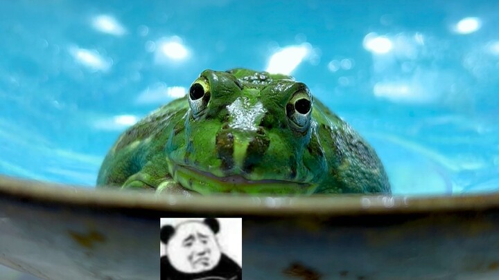 From Pozi to Bogang…