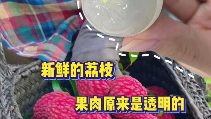 Turns out fresh lychee flesh is transparent!!