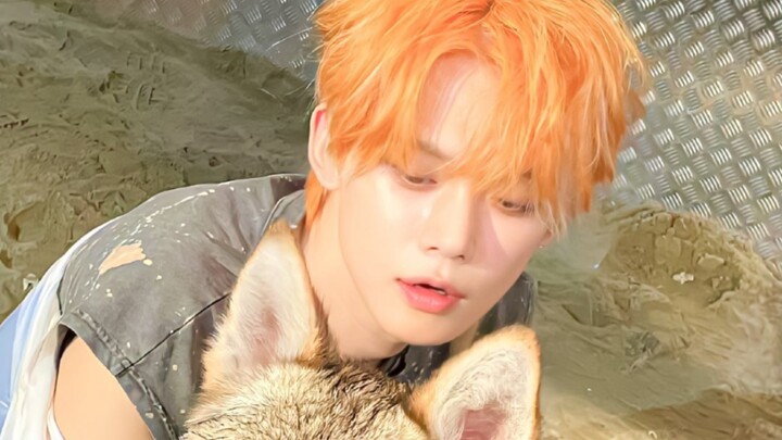 The male idol with the least masculine vibe when dancing girl group choreography has appeared