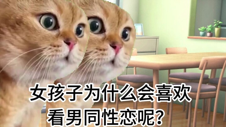 【Meme mèo】Bố tôi bỗng dưng hỏi tôi có phải là fujoshi không…