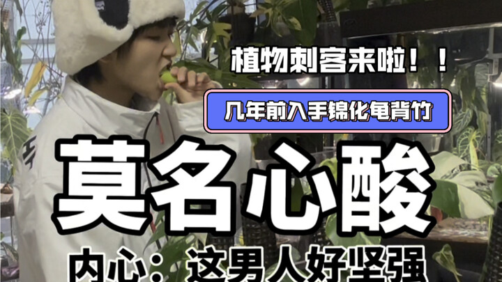 热植爱好者的破防瞬间｜我白龟买贵啦？！