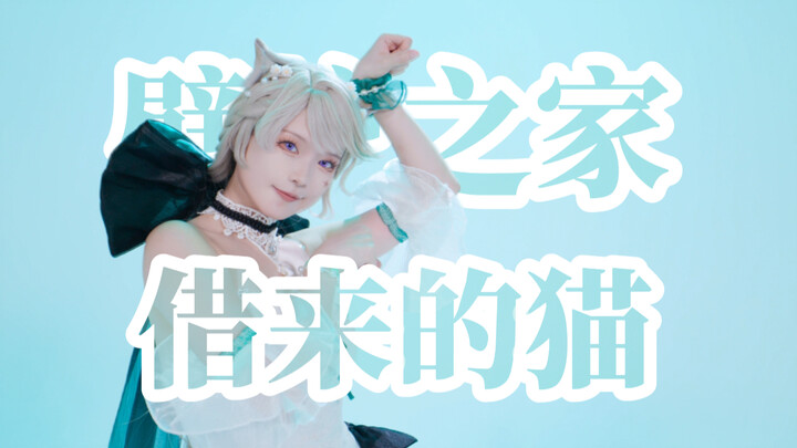 Ta-da! A cat borrowed from the Teyvat Continent!