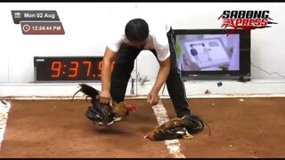 Machine kelso in action #5