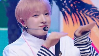 NCT WISH回归先行曲Surf首打歌舞台