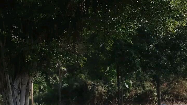 Reborn at 18: The Great-Grandma Takes Charge Season 4 E1