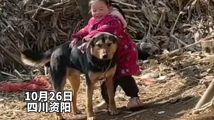 Chó con: Tớ mệt quá. # Chó là người bạn trung thành nhất của con người