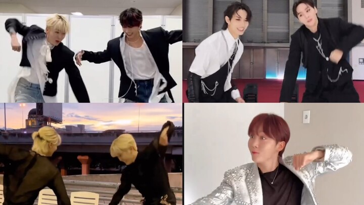 【Kucing Jeruk Junboo】Aku bilang nih, boo kecil, jangan terlalu cinta! Lima kali cha, empat kali biki