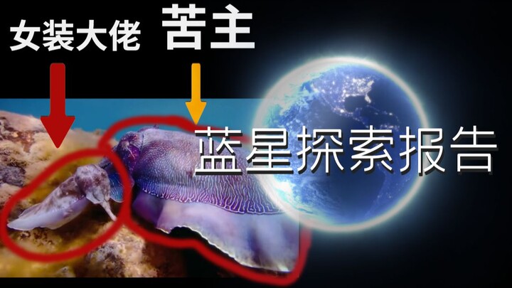 [Blue Star Exploration Report 4] How does “Old Wang in Women’s Clothes” build a harem right under yo