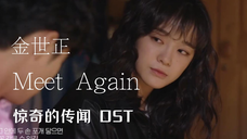 【中字】金世正 - Meet Again/再会(惊奇的传闻 OST)