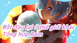 [Bắt đầu lại ở thế giới khác] Chỉ có chồng của Rem mới có thể xem nó (´-ω-`) / Tổng hợp Rem