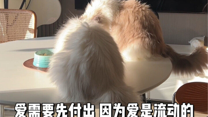 2023 New Year: Update Hiatus Announcement 🫶🏻