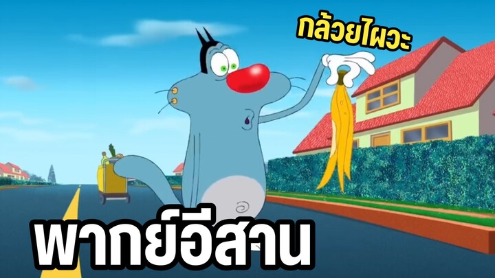 อ๊อกกี้กับแก๊งแมลงสาบ พากย์อีสาน บ้านอยู่ไหน ?