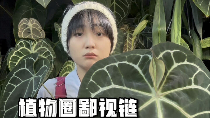 当我觉得自己的植物拿不出手…呜呜呜…