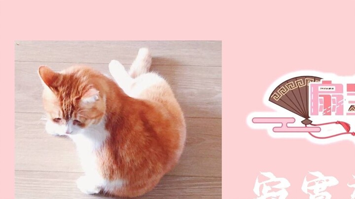 [Fan Bao] It's good to be lonely