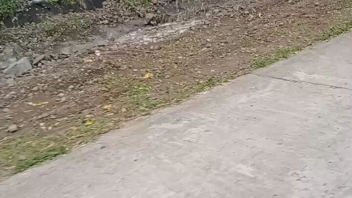 Negros Occidental 😍 Vacation 2022#HOMETOWN