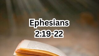 Thursday, July 03, 2025 Feast of Saint Thomas, Apostle #faith #readings #ordinarytime2025